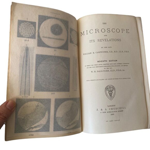 The Microscope And Its Revelations 7th Ed Carpenter Edited By Dallinger 1891 - Picture 5 of 10